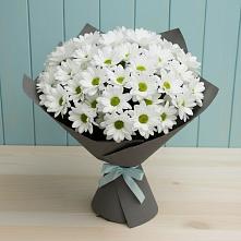 Букет цветов из:  Хризантемы #REPLACE_PRED# Рудне Волгоградской области