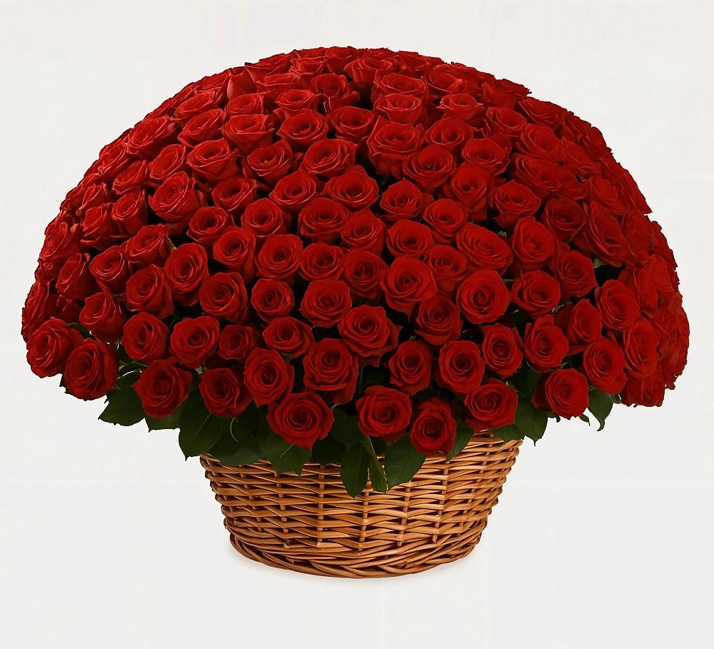 Премиум букет из: Розы в Рудне Волгоградской области