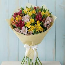 Букет цветов из:  Альстромерии в Рудне Волгоградской области